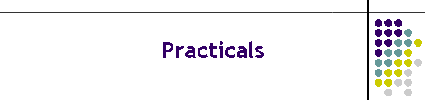 Practicals