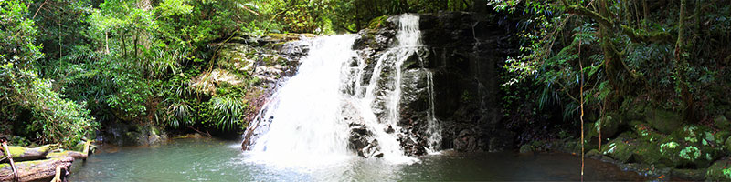 Waterfall, Coomera Creek