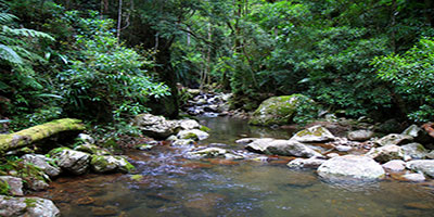 Coomera Creek